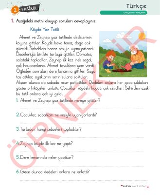 4. Sınıf 4x4'lük Tatil Tekrar Seti | 12 Fasikül+Bilişsel Etkinlikler-2025-2026 - 6