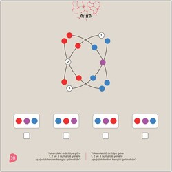 6'LI SET 9+ Yaş / IQ, Dikkat ve Yetenek Geliştiren Kitaplar Serisi - 8