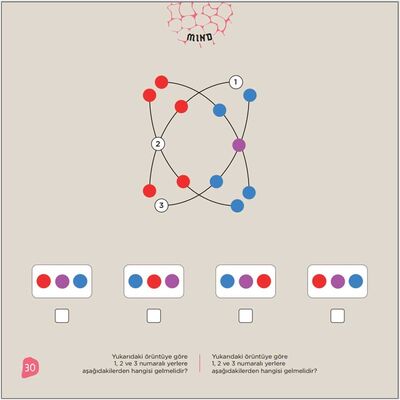 6'LI SET 9+ Yaş / IQ, Dikkat ve Yetenek Geliştiren Kitaplar Serisi