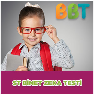 ST Binet Zeka testi