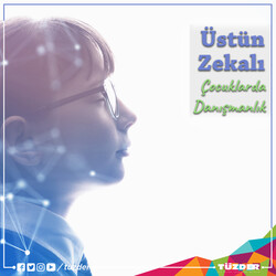 Üstün Zekalı Çocuklara Yönelik Ebeveyn Danışmanlığı - TÜZDER
