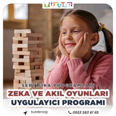 Zeka ve Akıl Oyunları Online Uygulayıcı Programı - 1